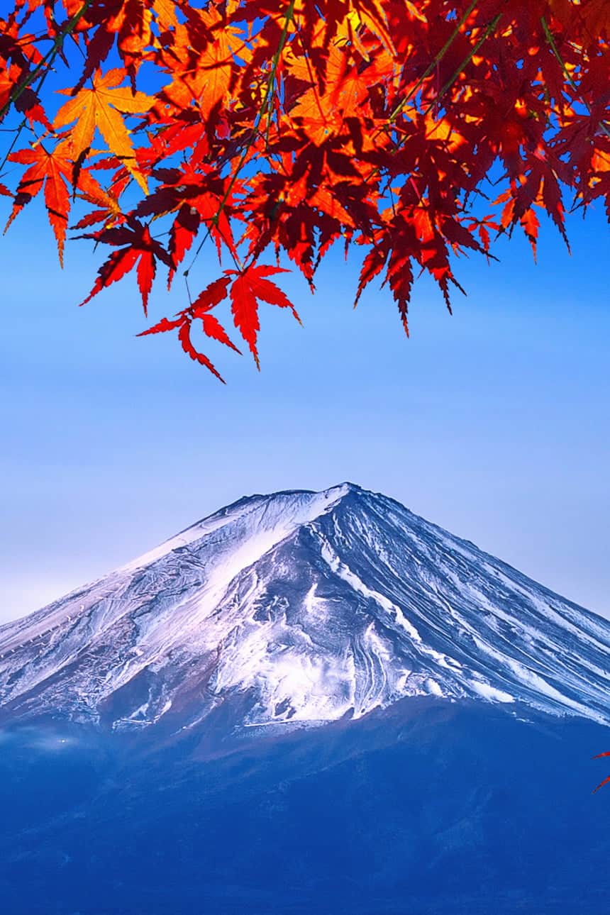 wow_image_country